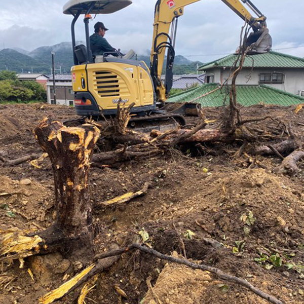 伐採した庭木・植木の抜根